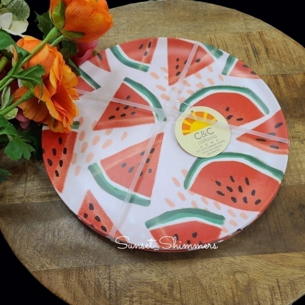 4pc set Watermelon C&C California Home Melamine 11" Dinner Plates New